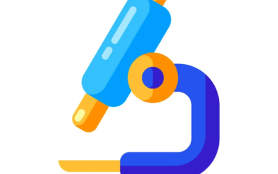 Analysis of Landmark Cases in Bangladesh in 2024